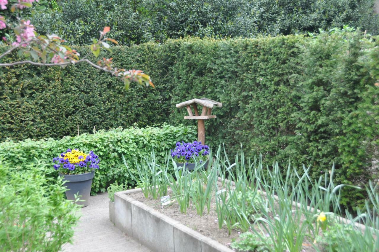 Huize Huizinga Bed & Breakfast De Steeg Exterior photo